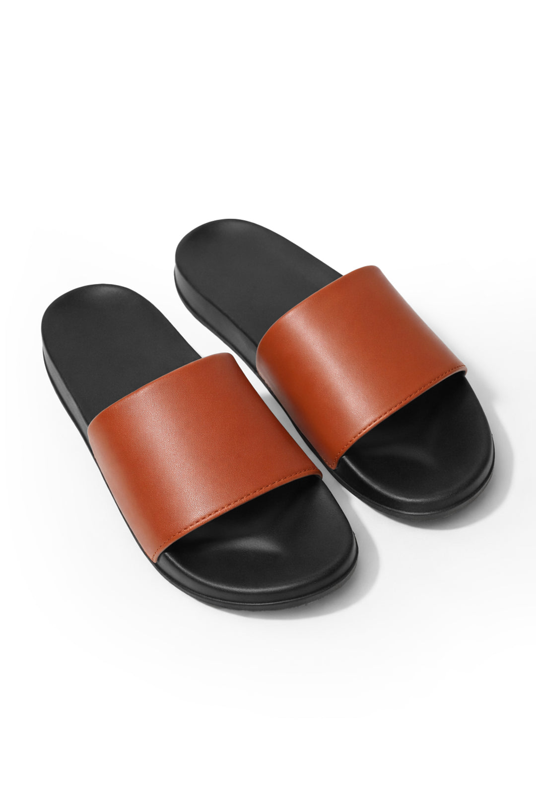 Slide - 5001