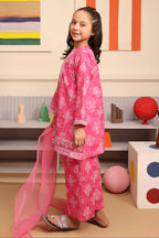 Embroidered Kurta Dupatta Trouser - 3684