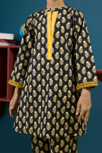 Kurta Trouser - 2401
