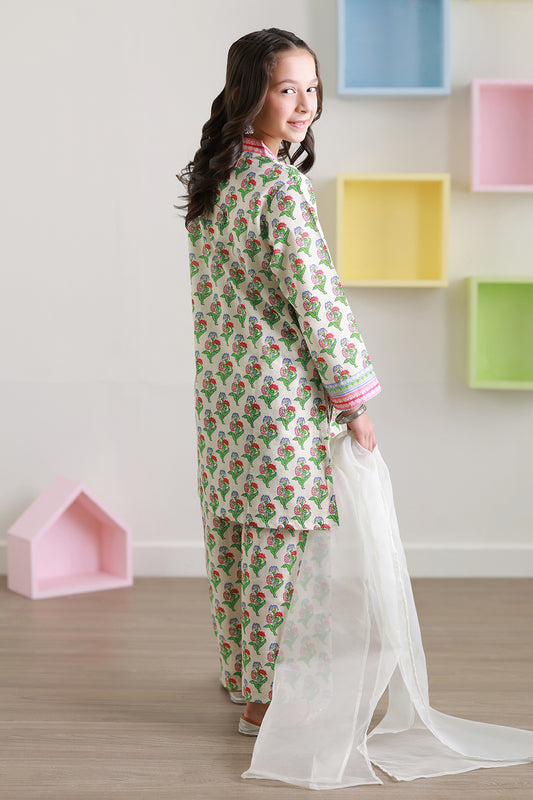 Embroidered Kurta Dupatta Trouser - 3410