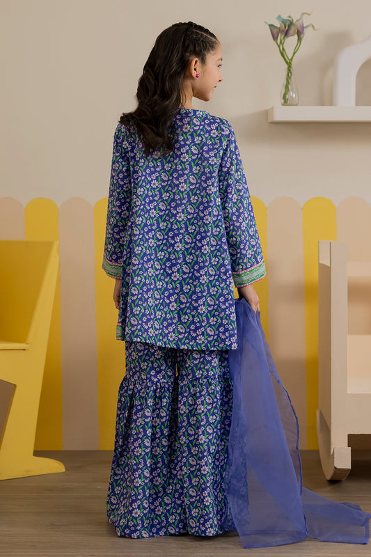 Embroidered Kurta Dupatta Trouser - 3411