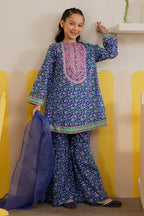 Embroidered Kurta Dupatta Trouser - 3411