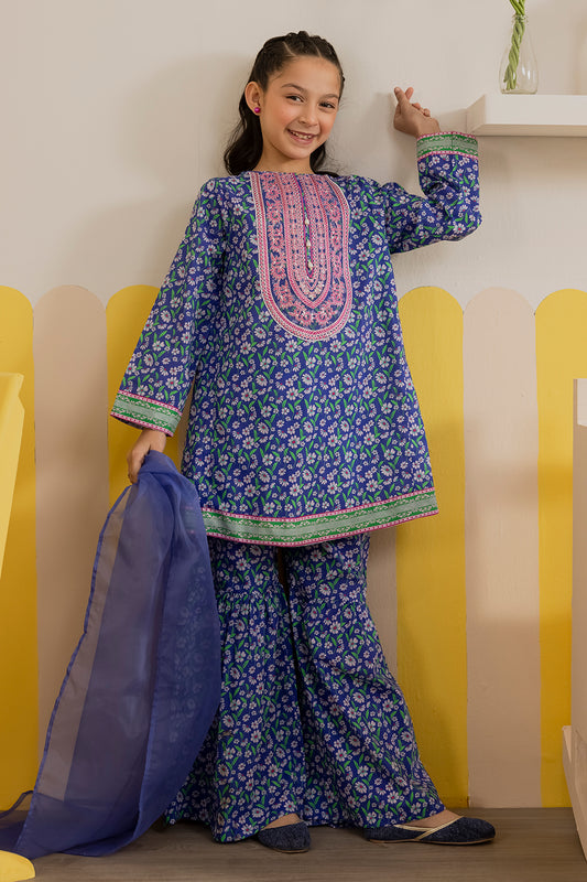 Embroidered Kurta Dupatta Trouser - 3411