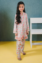 Embroidered Kurta Trouser - 2430