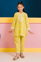 Embroidered Kurta Trouser - 2431