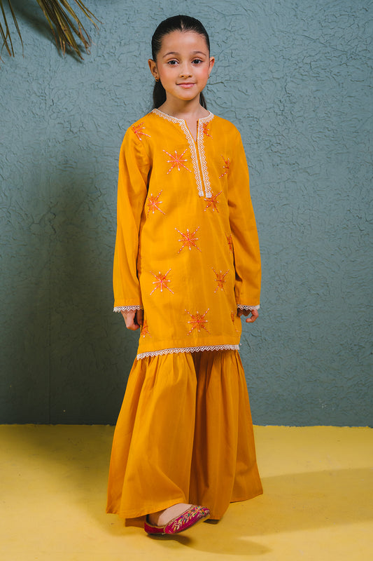 Embroidered Kurta Trouser - 2465