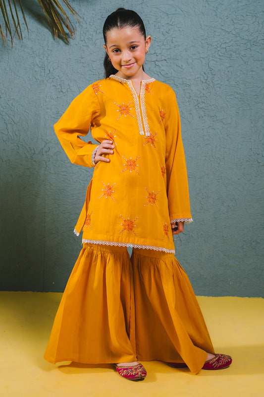 Embroidered Kurta Trouser - 2465