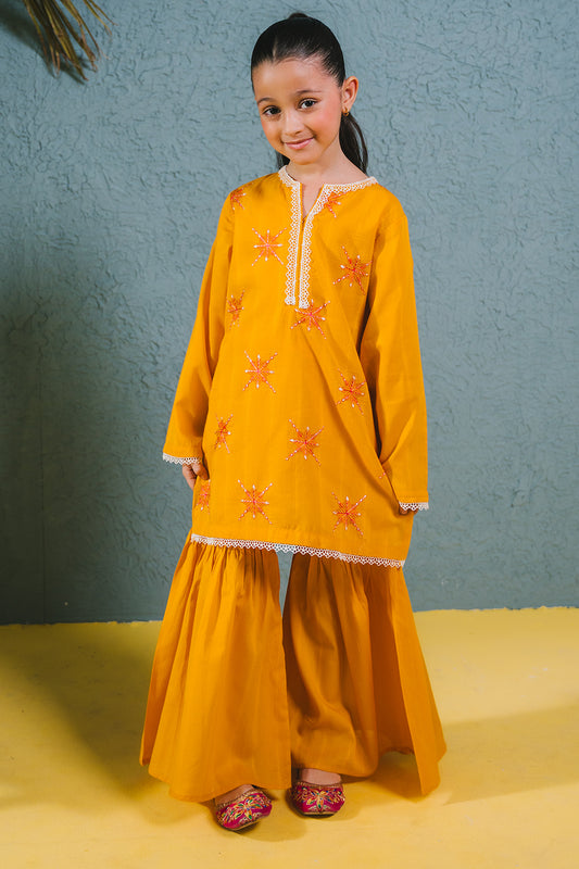 Embroidered Kurta Trouser - 2465