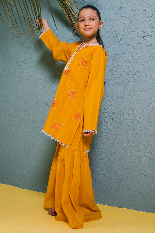 Embroidered Kurta Trouser - 2465