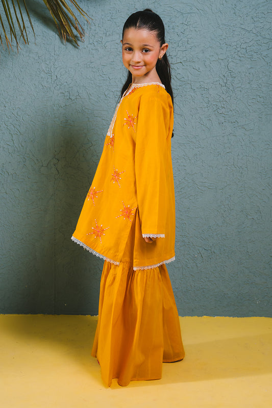 Embroidered Kurta Trouser - 2465