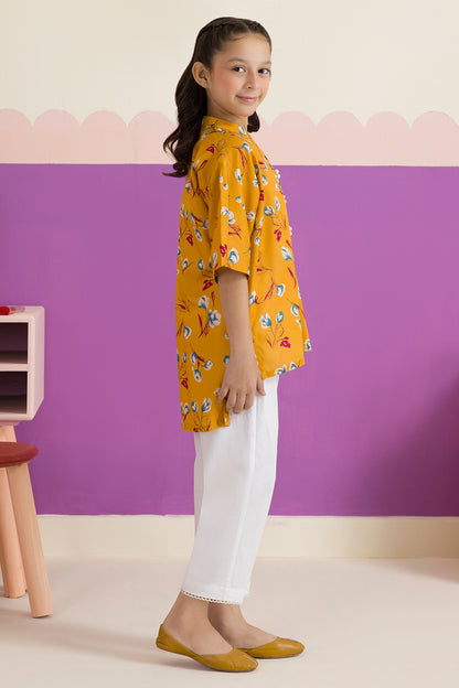 Kurta - 1172