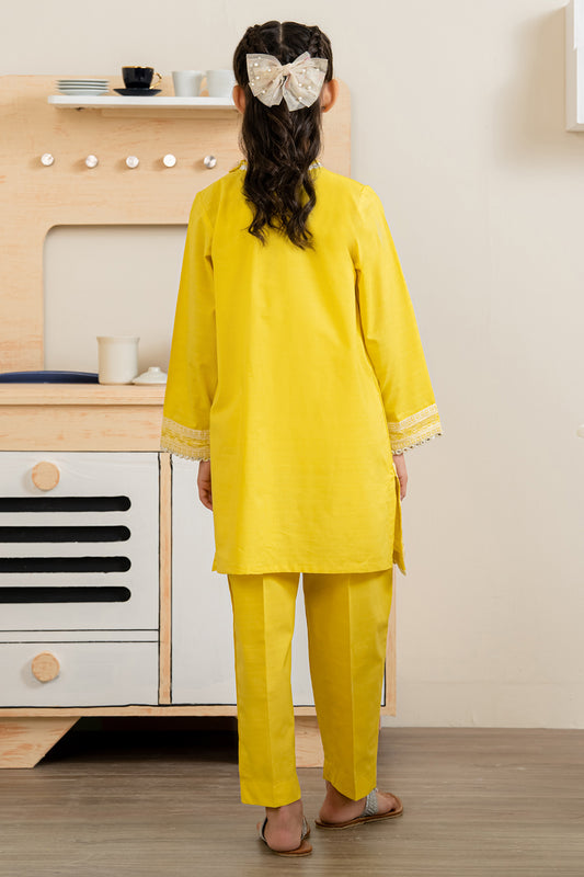 Embroidered Kurta Trouser - 2189