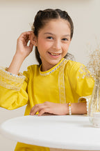 Embroidered Kurta Trouser - 2189