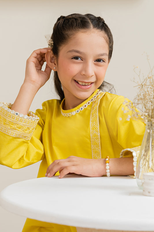 Embroidered Kurta Trouser - 2189