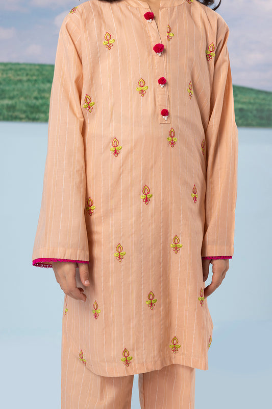 Embroidered Kurta Trouser - 2191