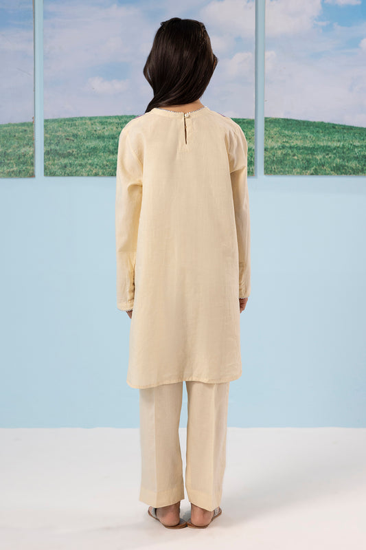 Embroidered Kurta Trouser - 2208