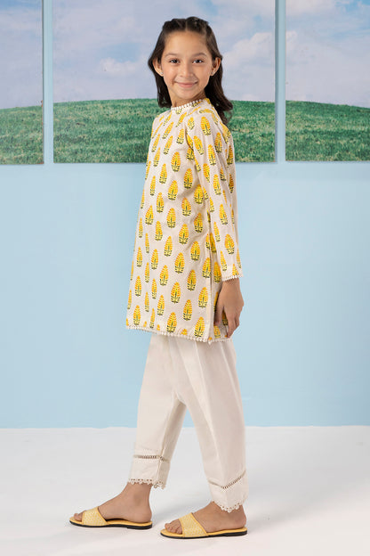 Kurta Trouser - 2230