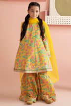 Kurta Dupatta Trouser - 3193
