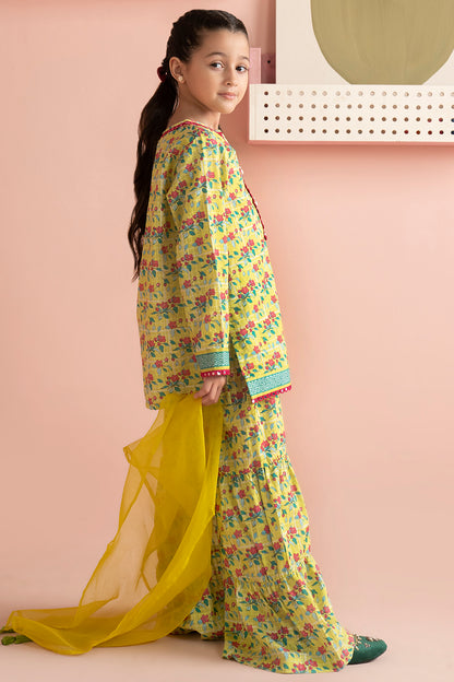 Kurta Dupatta Trouser - 3198