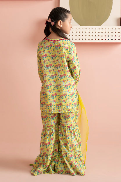 Kurta Dupatta Trouser - 3198