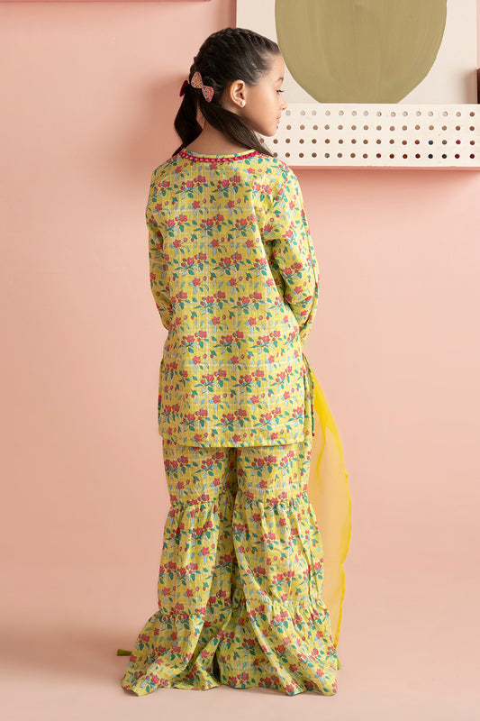 Kurta Dupatta Trouser - 3198