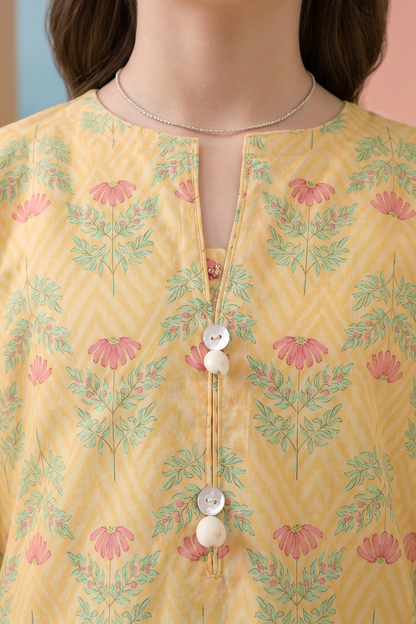 Kurta Trouser - 2538
