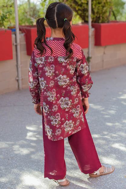 Kurta Trouser - 2222