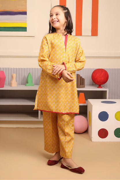 Kurta Trouser - 2758