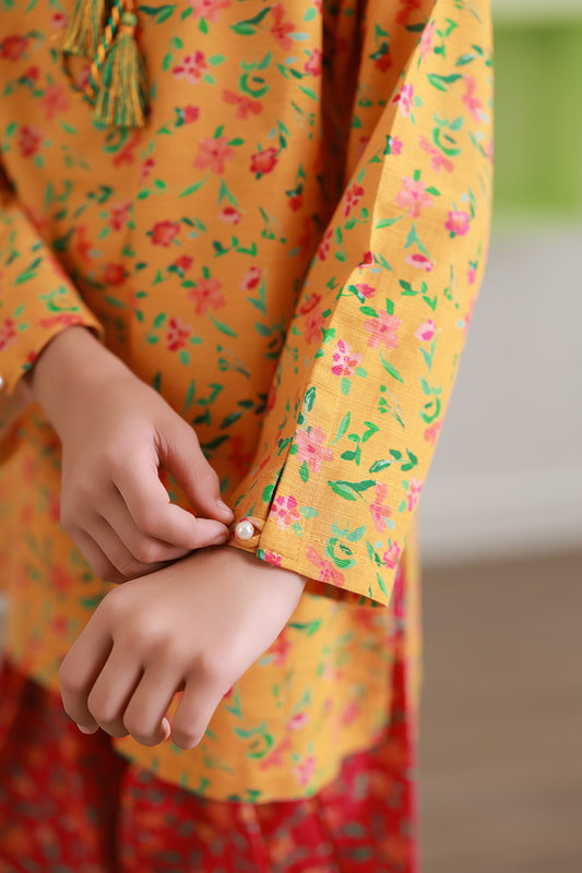 Kurta Trouser - 2415