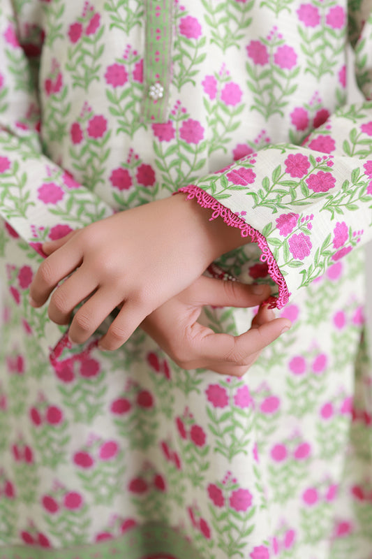 Kurta Trouser - 2443