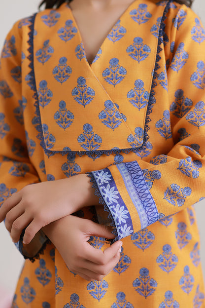 Kurta Trouser - 2444