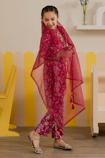 Embroidered Kurta Dupatta Trouser - 3424