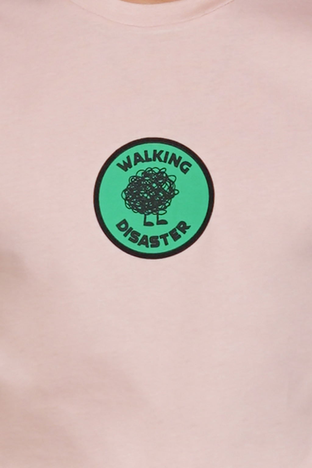 Graphic T-shirt - 2010