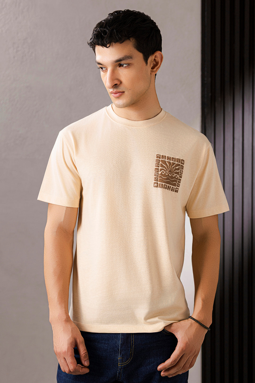 Graphic T-Shirts - R150