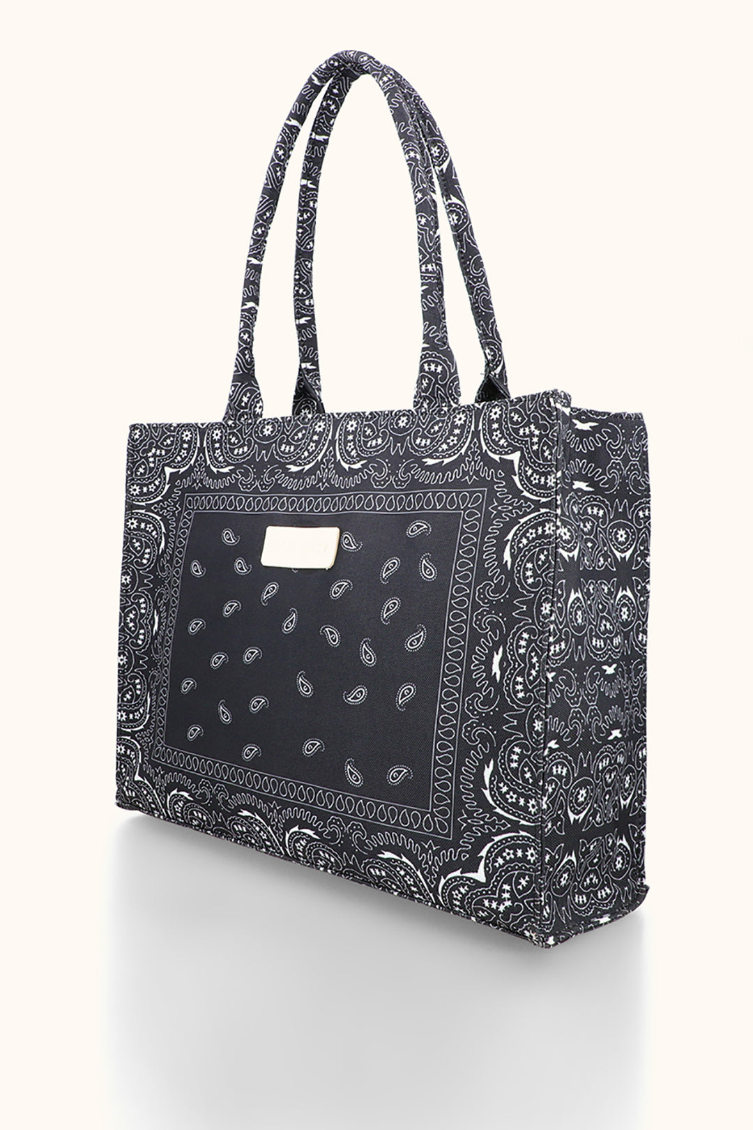 Canvas Bag - E241|Multi