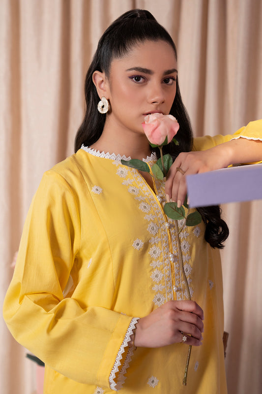 Embroidered Kurta Trouser - 2294