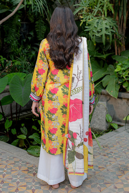 Kurta Dupatta - 2870