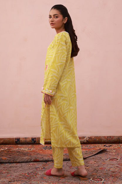 Embroidered Kurta Trouser - 2882