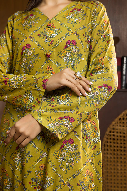 Kurta Trouser - 3269
