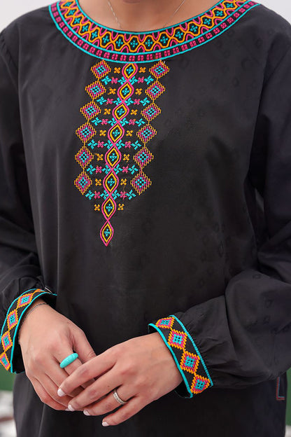 Embroidered Kurta - 0538