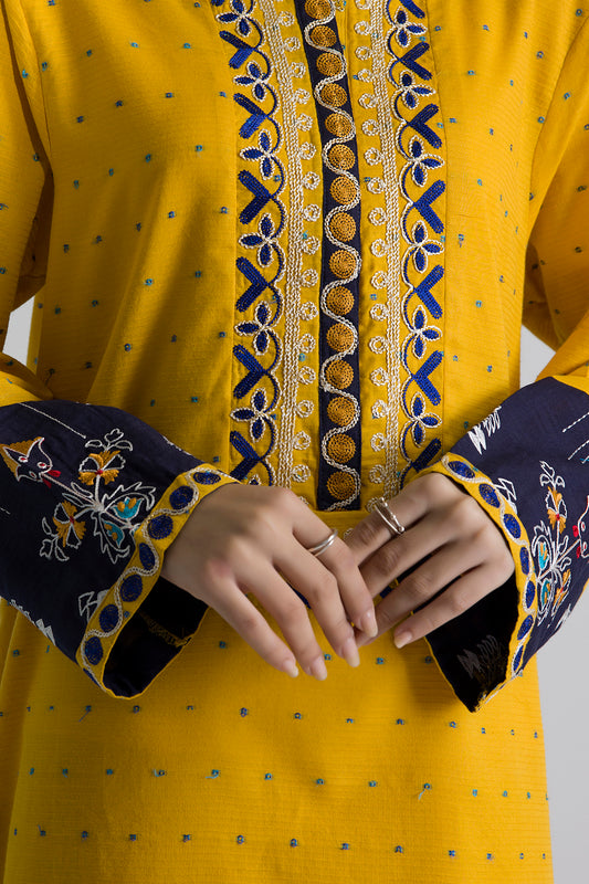 Embroidered Kurta Trouser - 0887