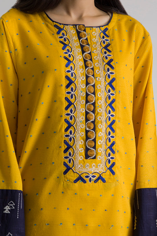 Embroidered Kurta Trouser - 0887