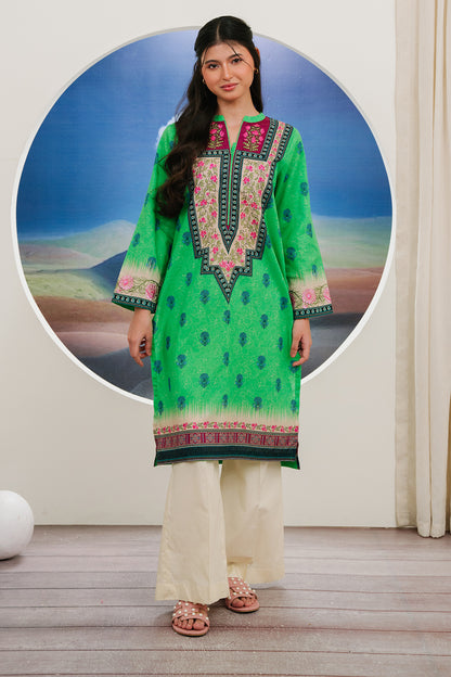 Embroidered Kurta - 2040