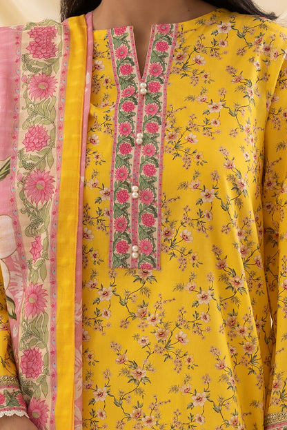 Kurta Dupatta - 1702