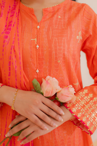 Embroidered Kurta Dupatta - 1899