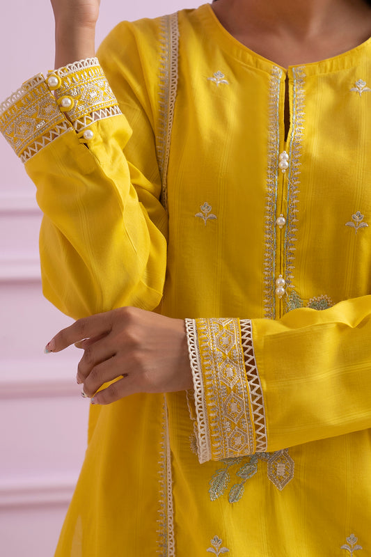 Embroidered Kurta Trouser - 2092