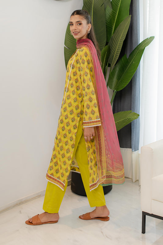 Kurta Dupatta Trouser - 1746