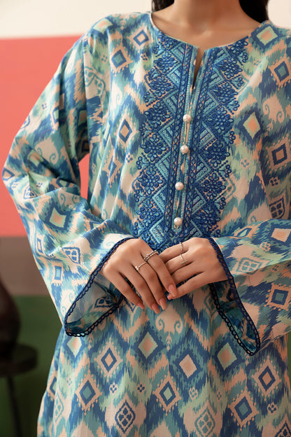 Embroidered Kurta - 1736