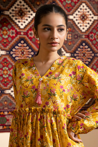 Tunics - 2078