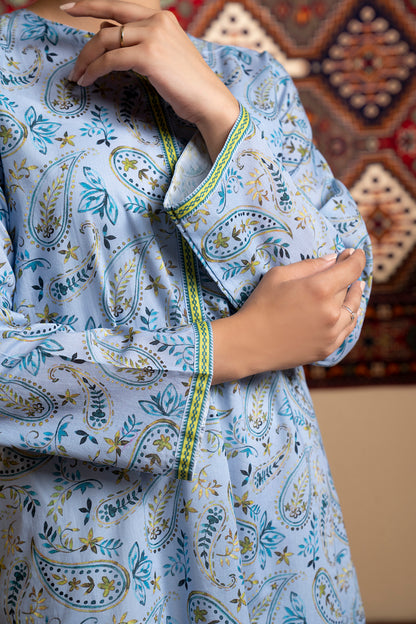 Kurta - 2206